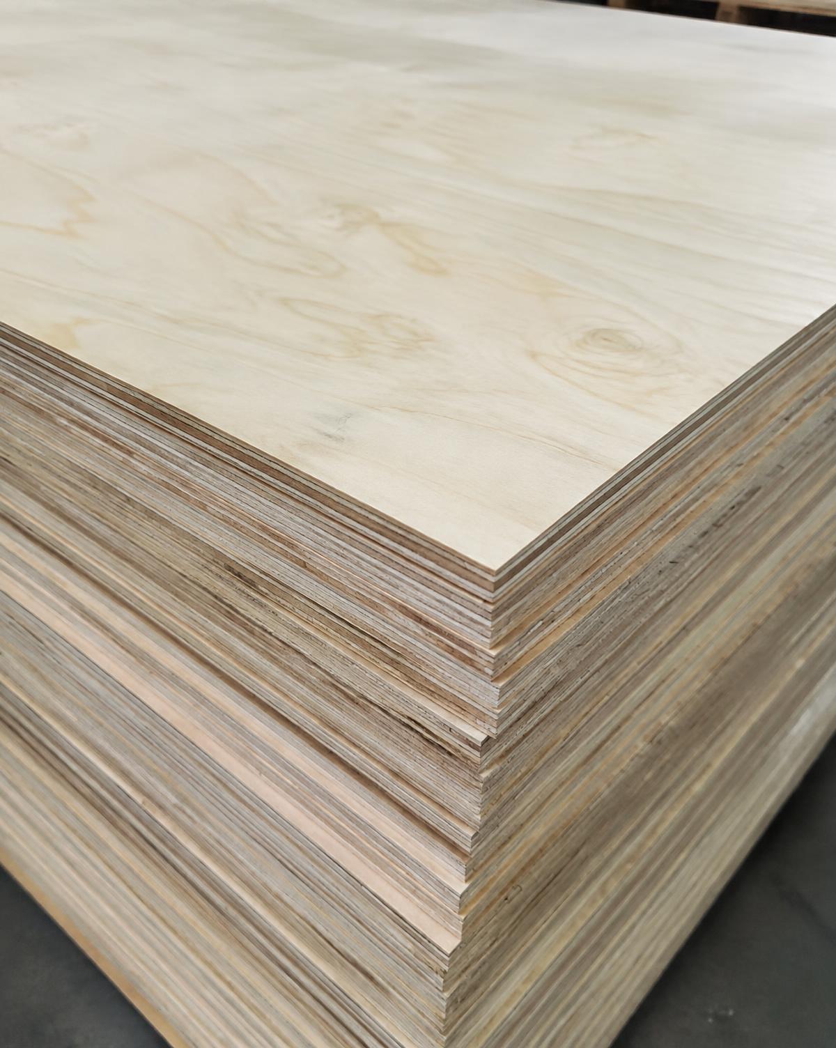 Plywood at Plywood Point, Thane